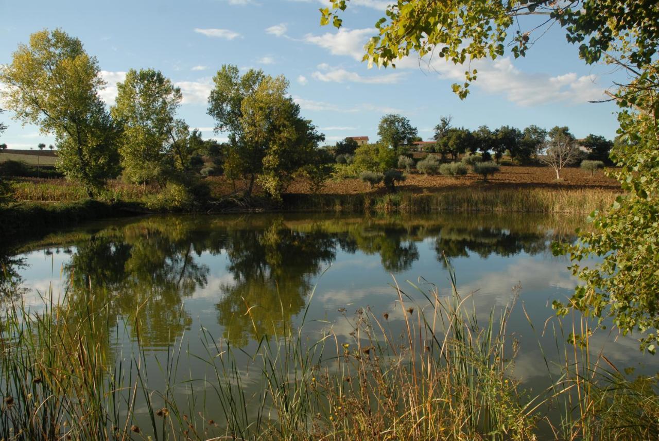 Fattoria Nonno Neno B&B Appignano  Zewnętrze zdjęcie